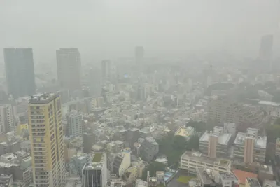 DSC_3247 (Large).JPG